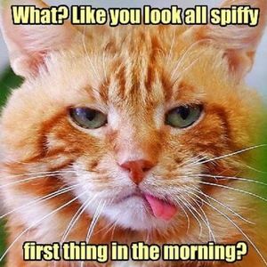 Meet your Posher, Evan